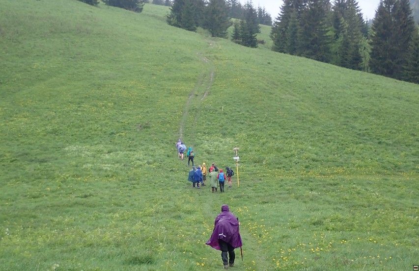 img00070.jpg