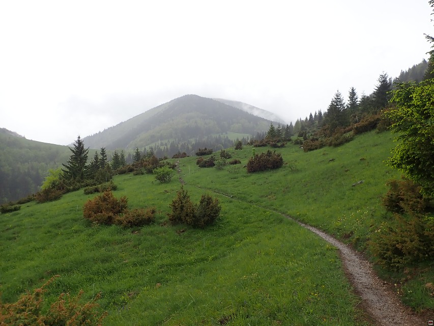 img00076.jpg