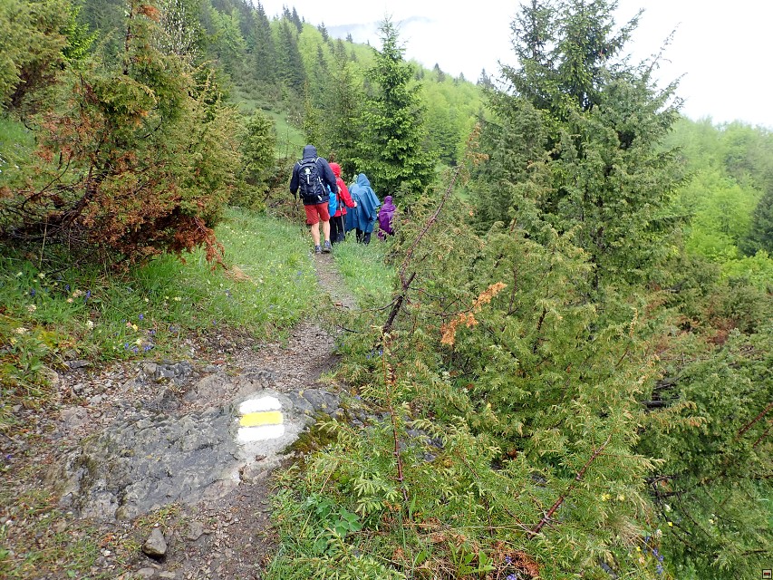 img00077.jpg