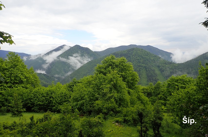 img00079.jpg