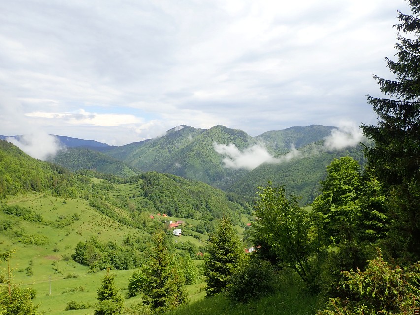 img00085.jpg