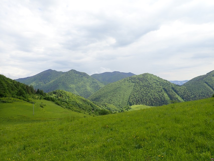 img00094.jpg
