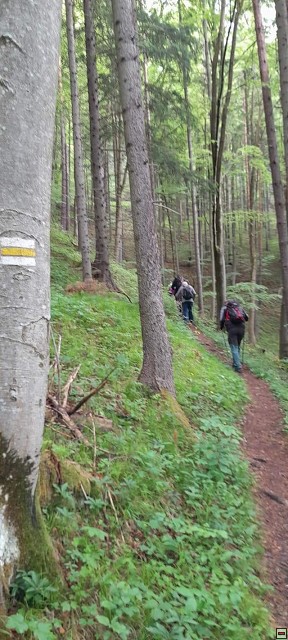 img00106.jpg