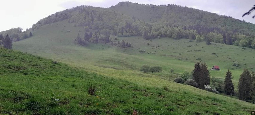 img00108.jpg