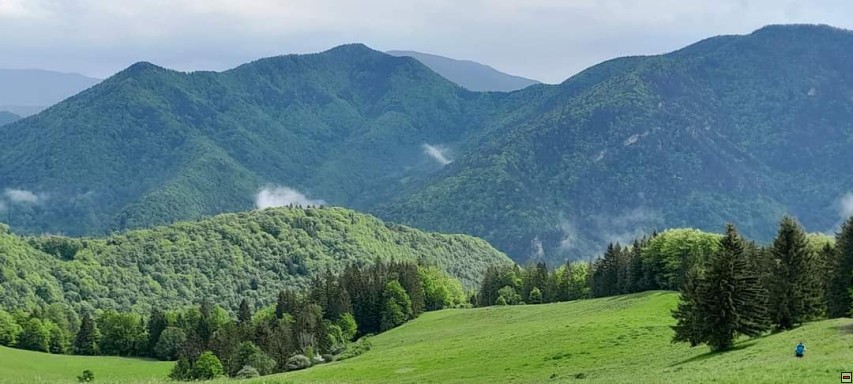 img00109.jpg