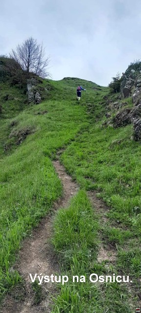 img00111.jpg