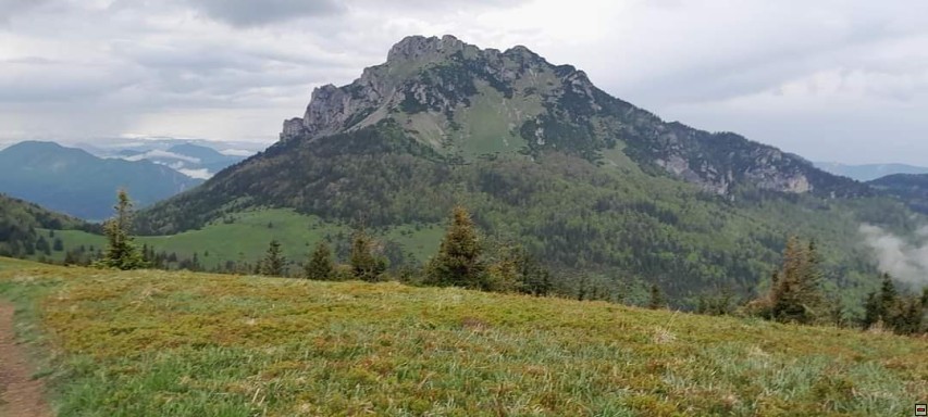 img00112.jpg