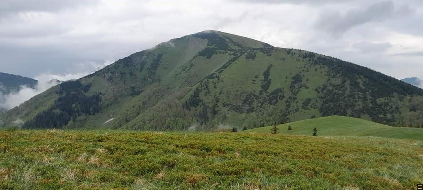 img00113.jpg