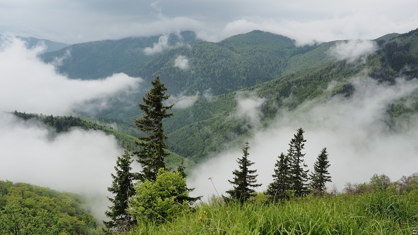 img00015.jpg