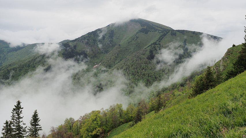 img00016.jpg