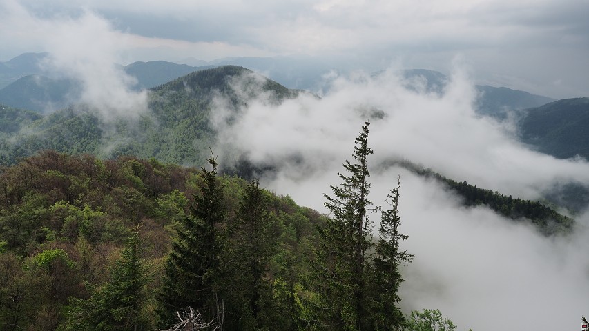 img00017.jpg