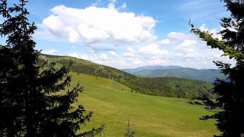 img00019.jpg