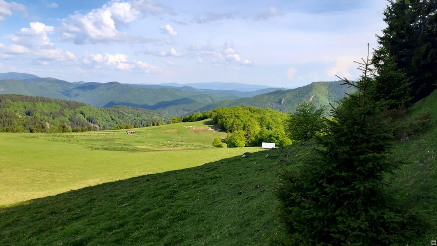 img00020.jpg