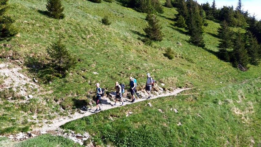 img00021.jpg