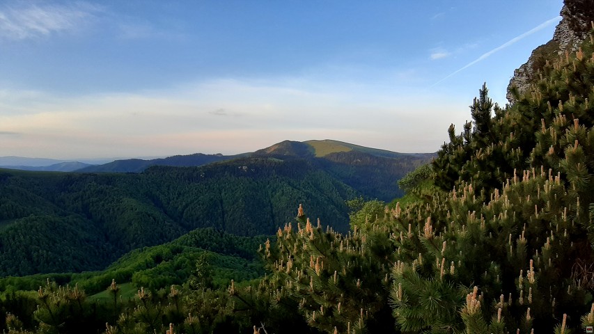 img00037.jpg