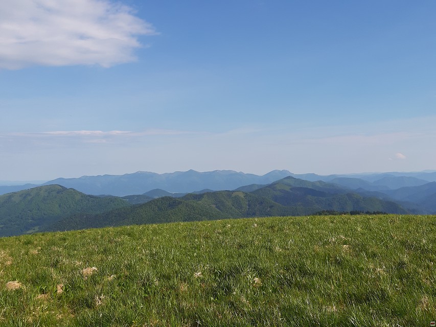 img00045.jpg