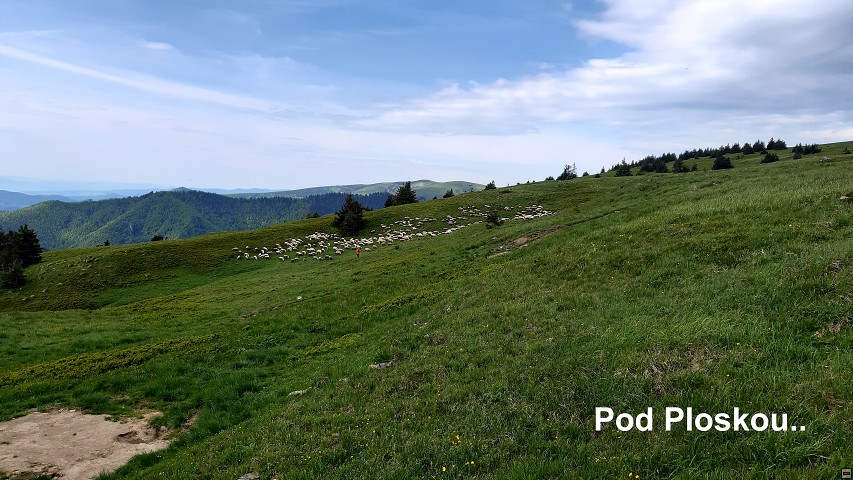 img00049.jpg