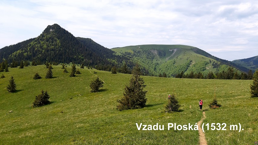 img00051.jpg