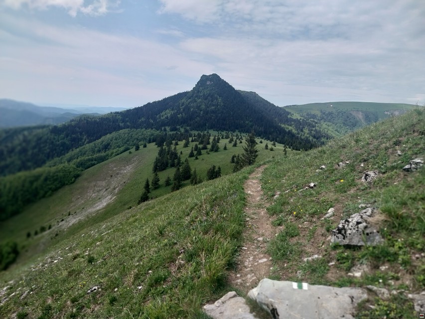 img00052.jpg