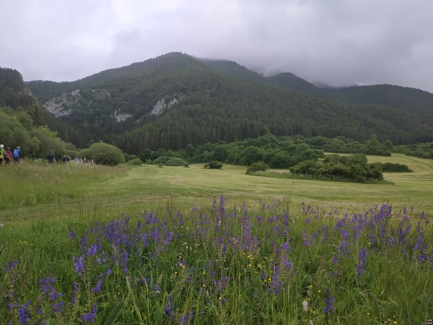 img00003.jpg