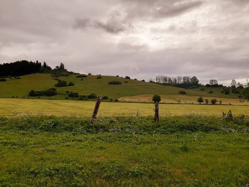 img00004.jpg