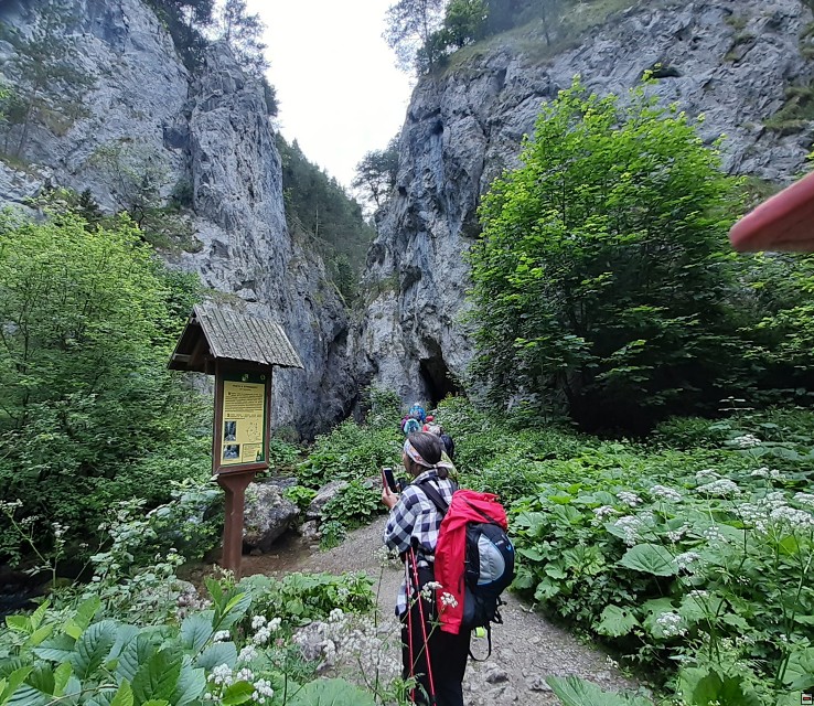 img00008.jpg