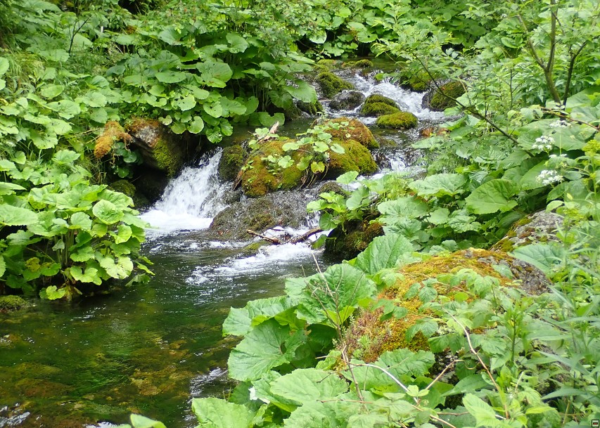 img00010.jpg