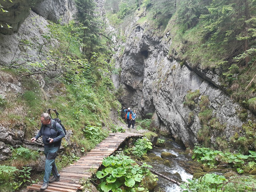 img00013.jpg
