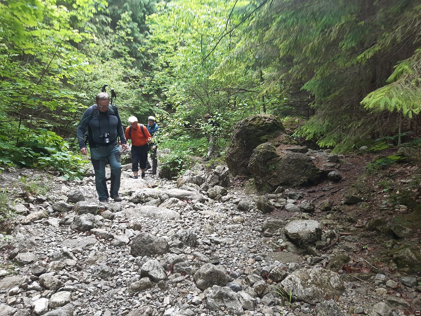 img00020.jpg