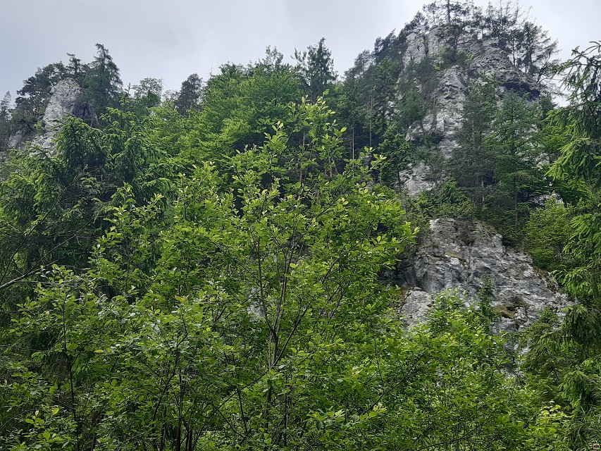 img00022.jpg