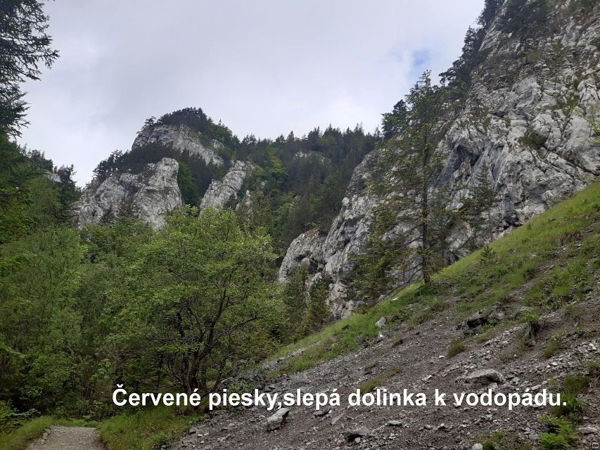 img00027.jpg