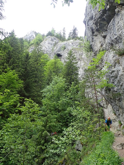 img00028.jpg