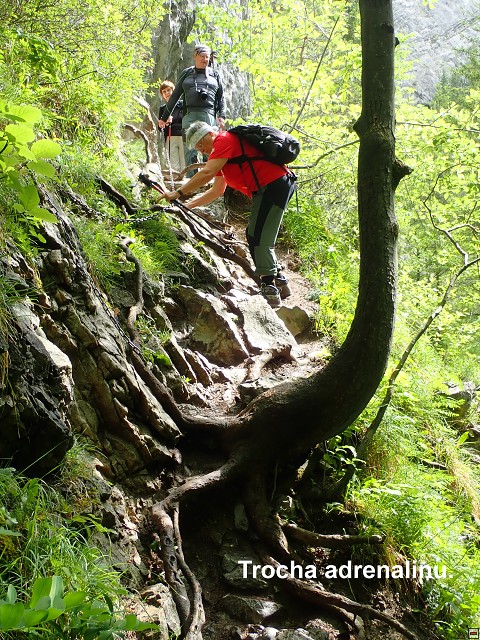 img00029.jpg