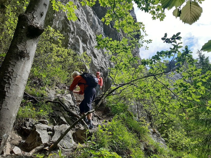 img00030.jpg