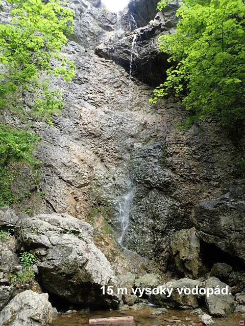 img00031.jpg