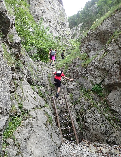 img00036.jpg