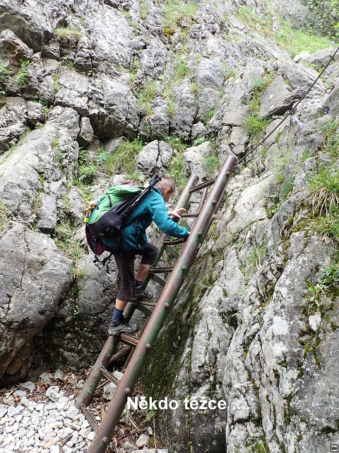img00038.jpg