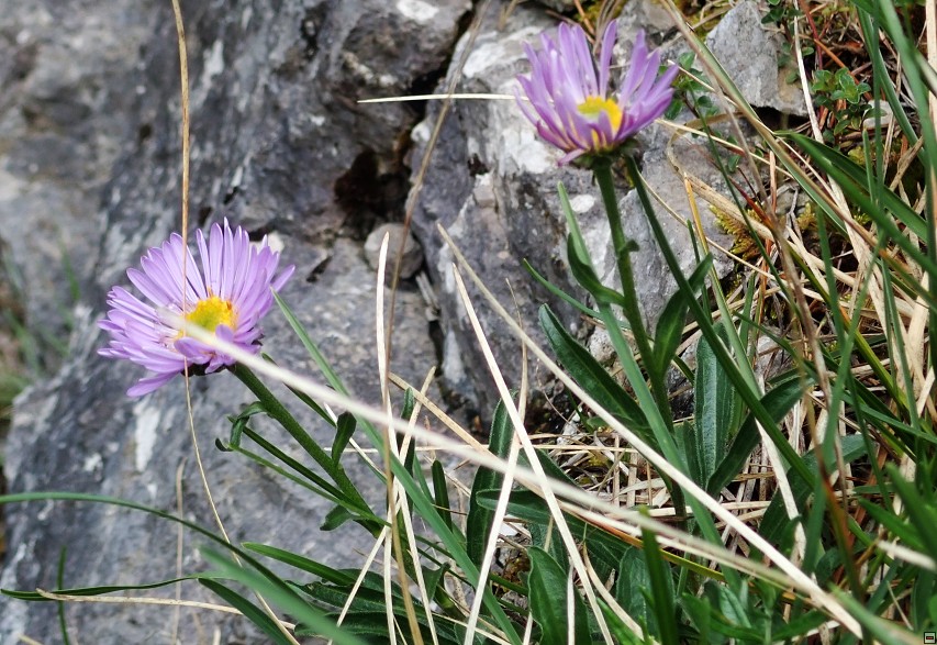 img00048.jpg