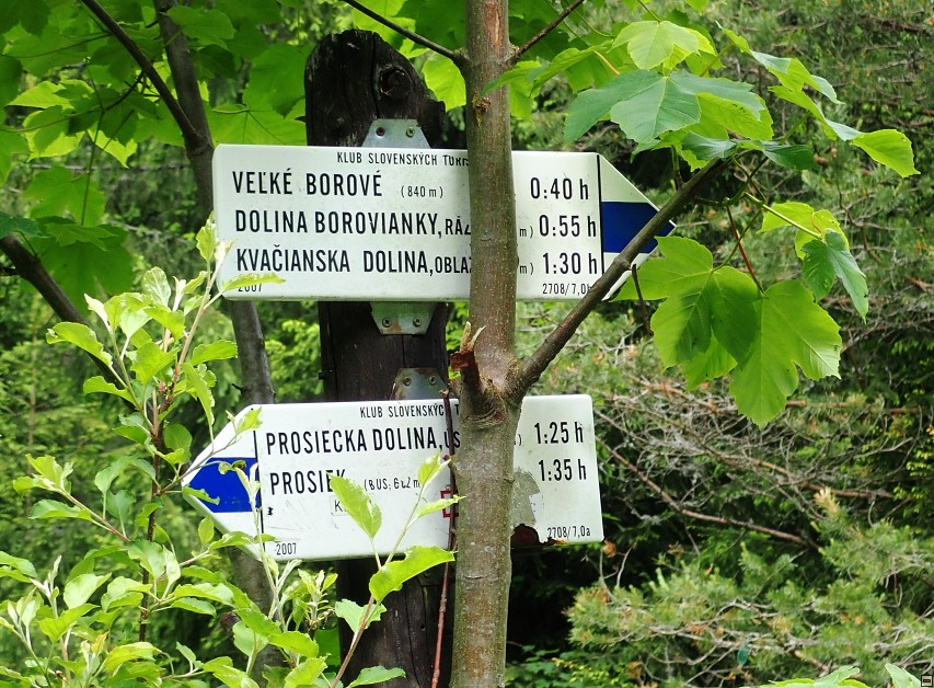 img00053.jpg
