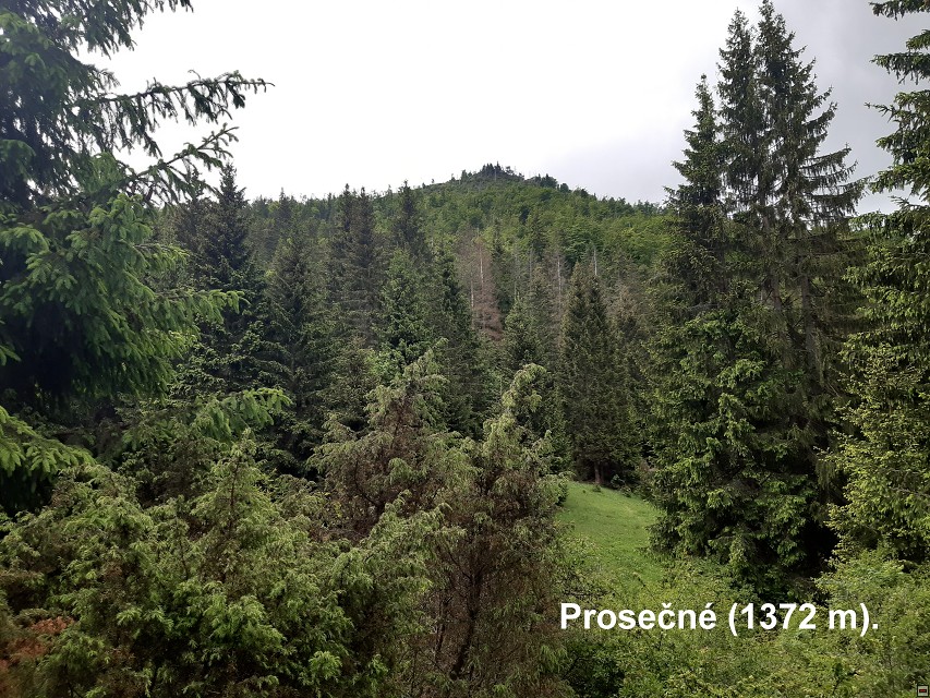 img00054.jpg