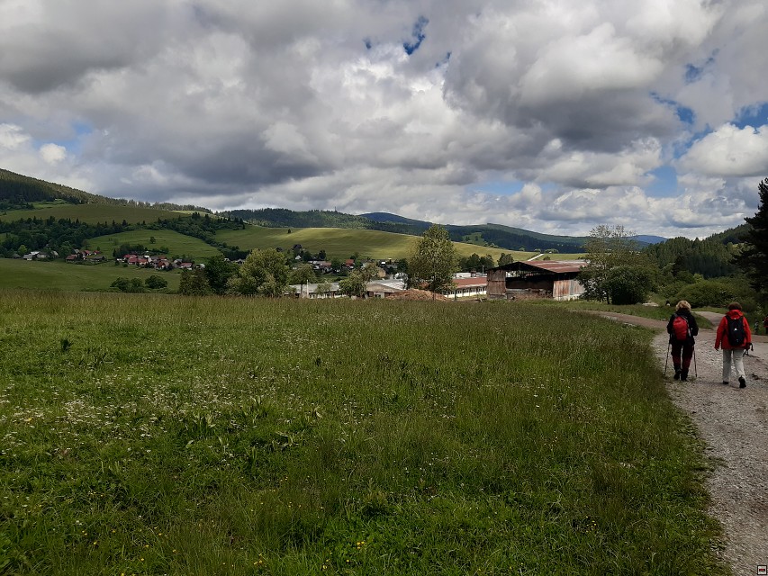 img00066.jpg