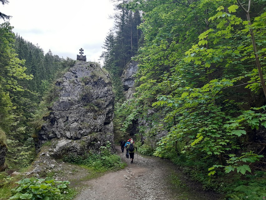 img00072.jpg