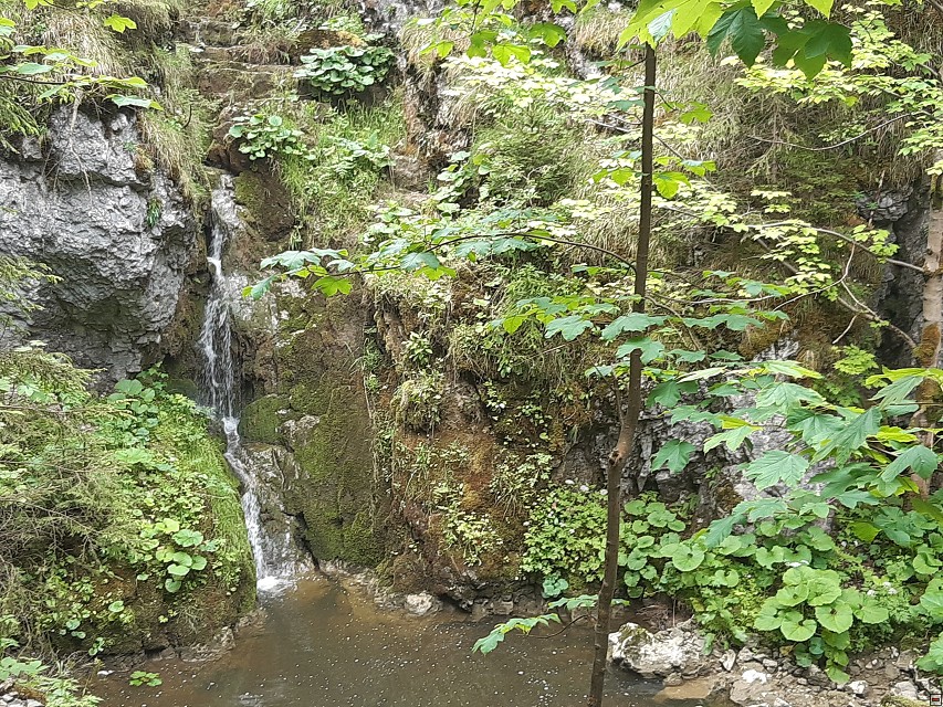 img00073.jpg