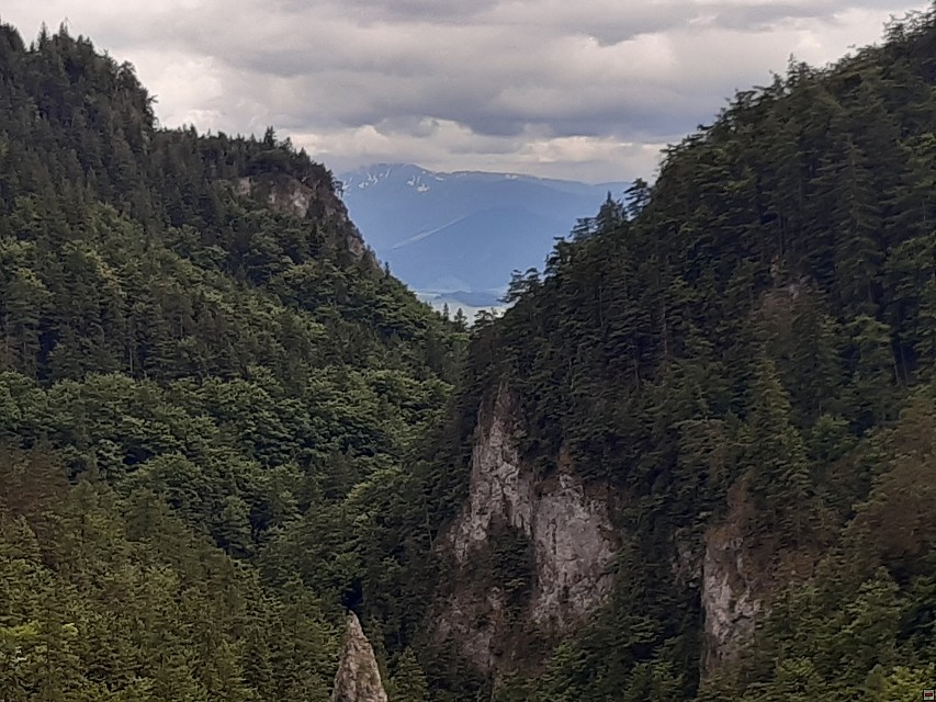 img00084.jpg