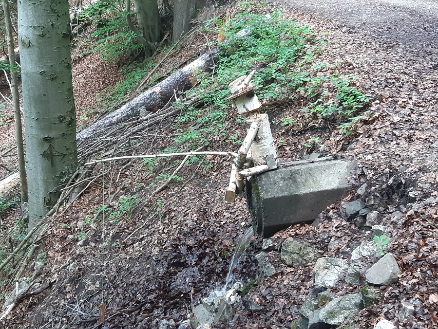 img00085.jpg