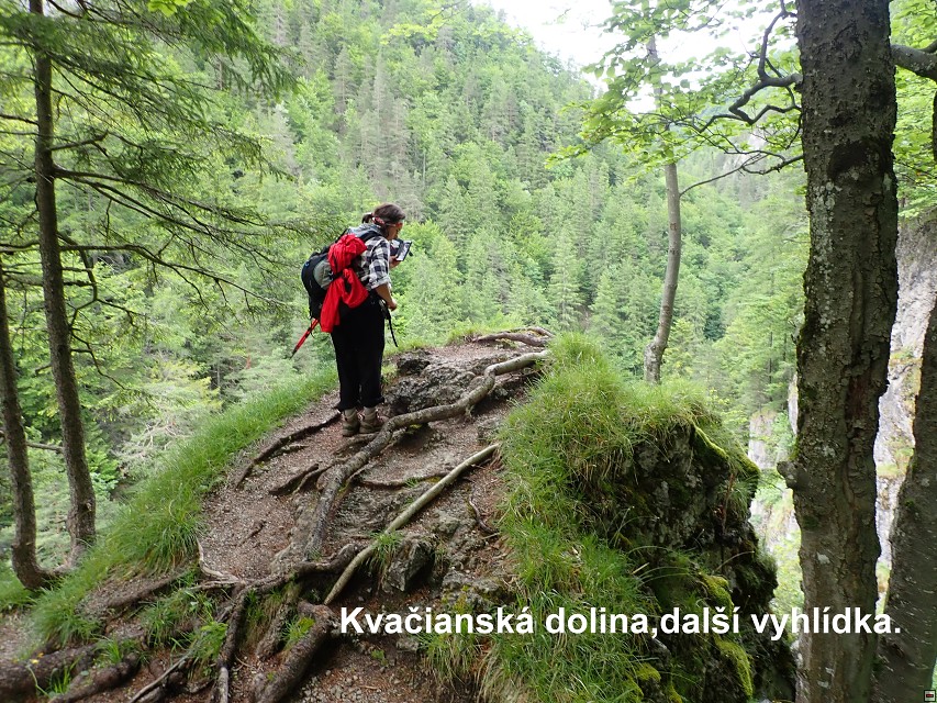 img00086.jpg