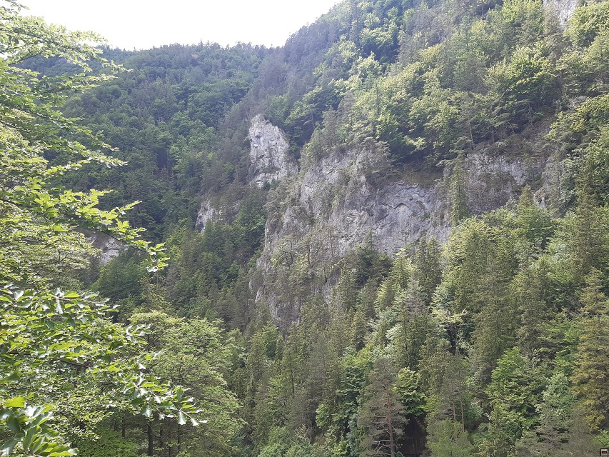 img00087.jpg