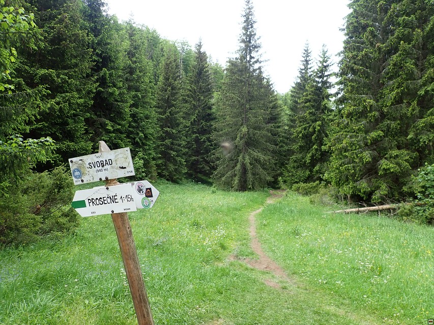 img00002.jpg