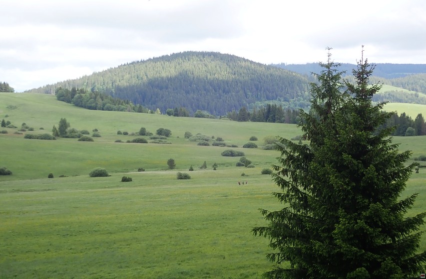 img00005.jpg