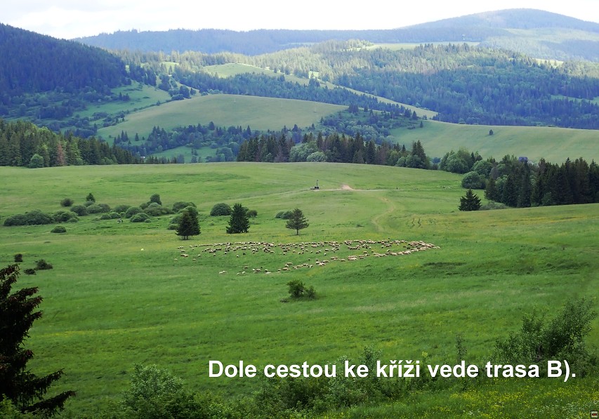 img00008.jpg